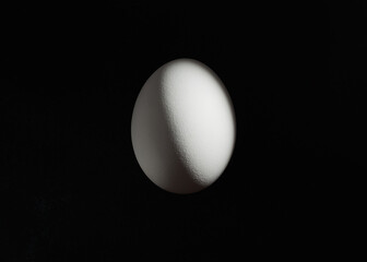 chicken egg on a black background