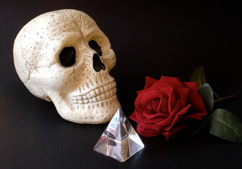 Teschio, cristallo e rosa rossa