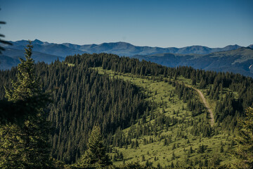 Obraz premium A tree with a mountain in the background