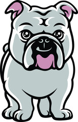 Cute English Bulldog Cartoon Character Design