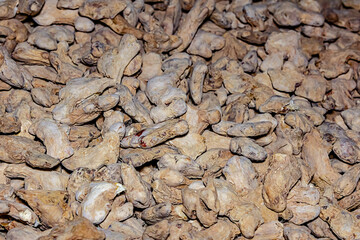 pattern ginger root many vegetables dried spices spice spicy spicy