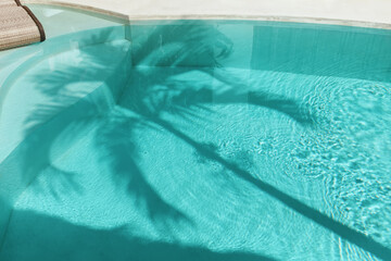 Palm Shadow On Water Surface. Swimming Pool With Silhouette Of Tropical Tree At Noon. 