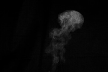 Figured smoke on a dark background. Abstract background, design element, for overlay on pictures