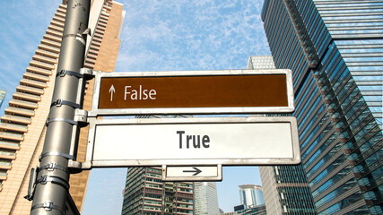 Fototapeta premium Street Sign True versus False