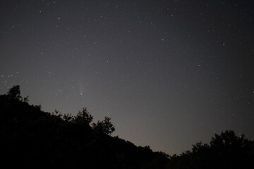 Fototapeta na wymiar The starry sky at night and the neowise 2020 comet with silhouette of trees