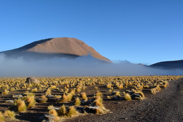 Atacama desert - geyser in El Tatio