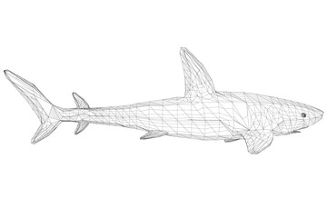 Wireframe low poly blue shark. 3D. Side view. Vector illustration