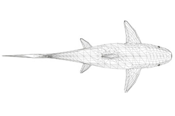 Fototapeta na wymiar Wireframe low poly blue shark. 3D. View from above. Vector illustration