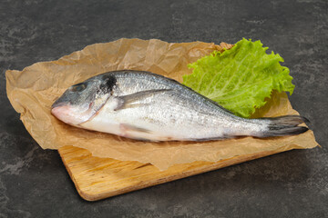 Raw Dorada fish  for cooking