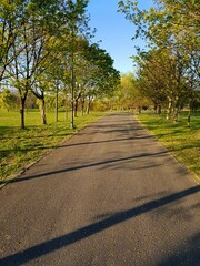 path in the park