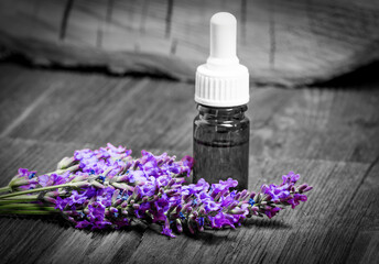 Obraz na płótnie Canvas lavender herbal extract
