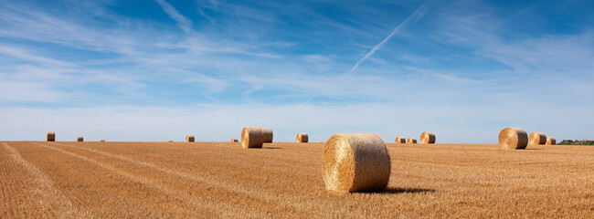 golden field with straw bales under blue sky in the north of france