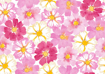 水彩で描いたコスモスの背景イラスト