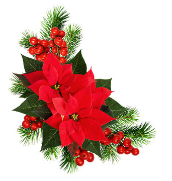 Christmas corner arrangement with pine twigs, red berries and poinsettia flowers