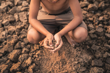 Sad a boy sitting on dry ground .Seedling wither on dry land. As the young man's hand was gently encircled. concept hope and drought