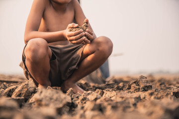 Sad a boy sitting on dry ground .Seedling wither on dry land. As the young man's hand was gently...