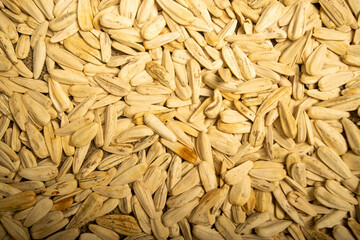 White sunflower seeds roasted with sea salt the texture of the surface. Close up.