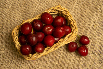 Ripe juicy cherries in a wicker basket and cherries scattered on a homespun fabric with a rough texture. Close up.