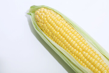 新鮮なトウモロコシ