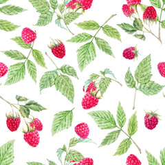 Beautiful vector seamless pattern with watercolor raspberry and leaves. Stock illustration. - obrazy, fototapety, plakaty