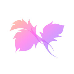 Fototapeta na wymiar Three elegant feathers. Vector logo mark template or element for decoration