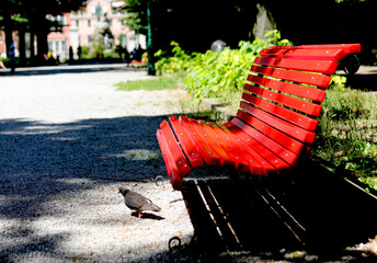 red bench in a public park and a pigeon