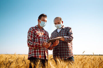 Two farmers in sterile medical masks with a tablet in their hands in a wheat field during pandemic. Agro business. Harvesting. Covid-2019.