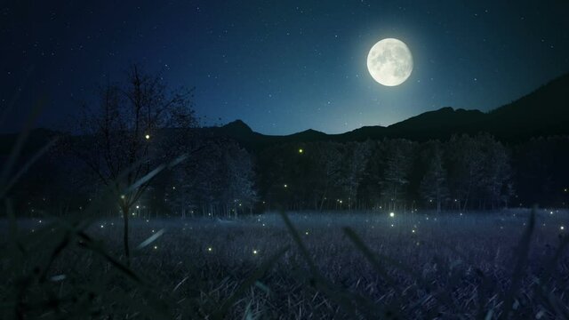night landscape with moon