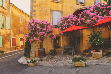 Fototapeta na wymiar France Provence street, ancient houses with green plant and blooming flowers