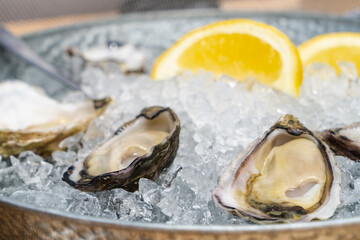 Oysters served on ice with slice of lemon.