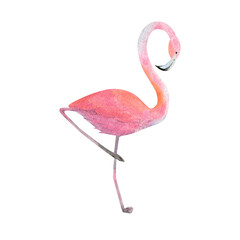 Watercolor exotic flamingo. Summer decoration print for wrapping, wallpaper, fabric, card.