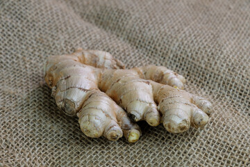 Eine Knolle / Wurzel von Ingwer auf rustikalem Jute / Sackleinen-Stoff