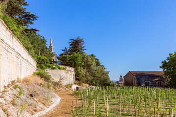 Backyard of the Cathedral of Our Lady of Doms (Palace of the Popes) in Avignon city