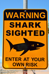 Shark Sighted warning sign.