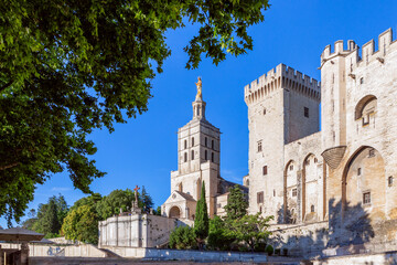Beautiful view of Avignon cathedral (Cathedral of Our Lady of Doms) and Palace of the Popes in...
