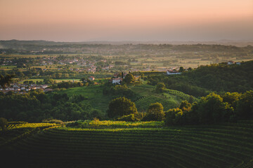 Friuli Venezia Giulia typical landscape, Udine province, Italian countryside from drone, aerial shot, vineyards hills 