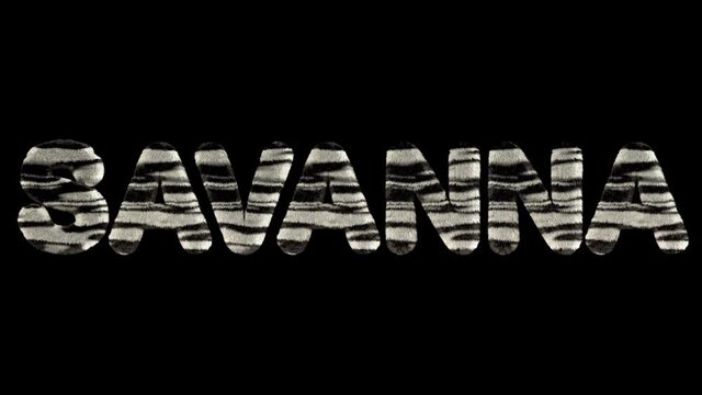 3d animated text spelling savanna,  of fury zebra striped letters
