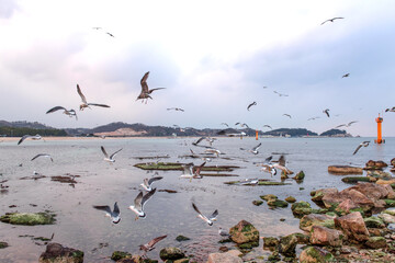 Beautiful rock and waves on the seashore along the coastline.