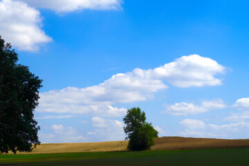 Sommerlandschaft