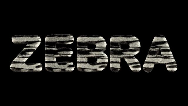 3d animated text spelling zebra, made of fury zebra striped letters
