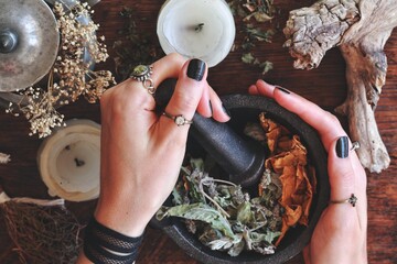 Kitchen witchery - female wiccan witch holding pestle and mortar in her hands, making magickal herb blend for a spell. Mix of dried herbs ready to be blended. Messy witch's altar on dark wooden table - obrazy, fototapety, plakaty