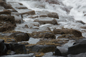 Waves crashing against rocks at the Giant's Causeway, Northern Ireland.