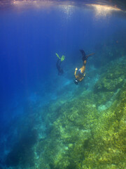 underwater coral reef snorkel  caribbean sea Venezuela
