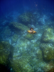 Fototapeta na wymiar underwater coral reef snorkel caribbean sea Venezuela