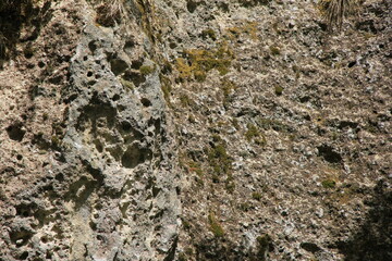 たくさんの凸凹がある岩肌