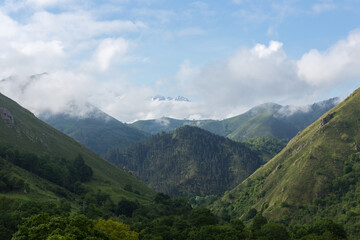 Picos de Europa