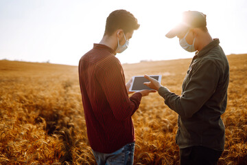 Two farmers in sterile medical masks with a tablet in their hands in a wheat field during pandemic....