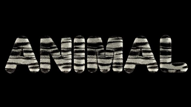 3d animated text spelling animal, made of fury zebra striped letters
