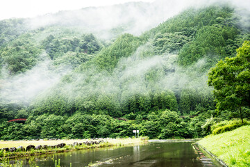 悪天候で雲がかかる山の風景