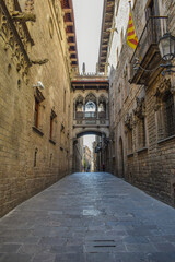 Fototapeta na wymiar Streets of Barcelona without tourists during the summer because of the coronavirus